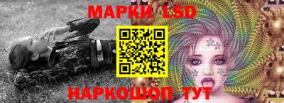 крисы Кимры
