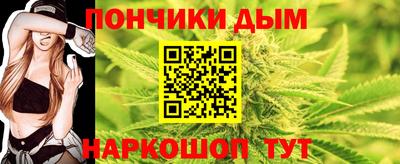 индика Кинель