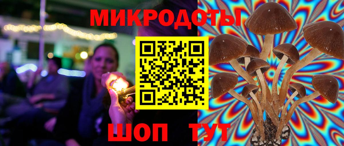 Псилоцибиновые грибы Magic Shrooms  Вход с VPN  как найти закладки  Кохма 
