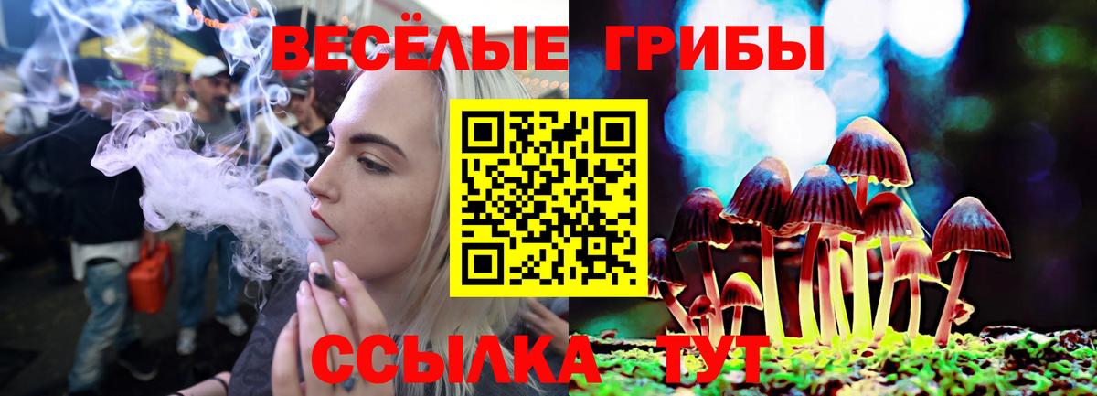 Галлюциногенные грибы Psilocybine cubensis Кохма