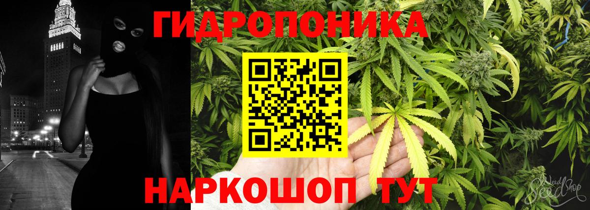 Шишки марихуана White Widow  Бошки Шишки марихуана  Вход с VPN  Кохма 